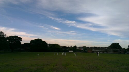 IMAG0347.jpg image