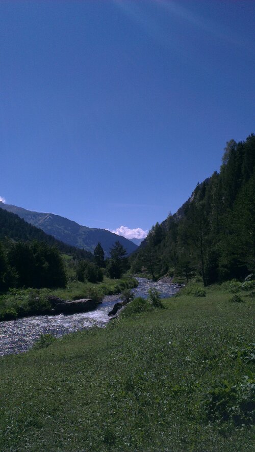 IMAG0884.jpg image