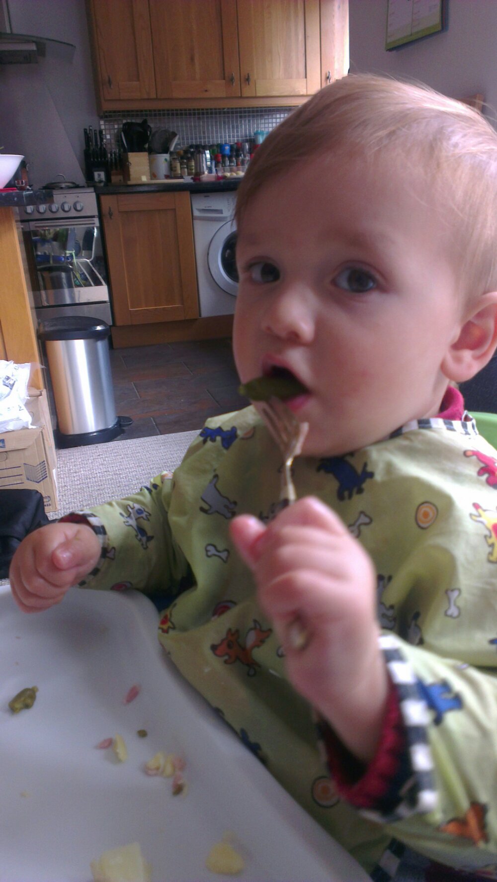 IMAG0939.jpg image